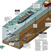 Proyecto de minería submarina Don Diego de acuerdo al Excélsior 1