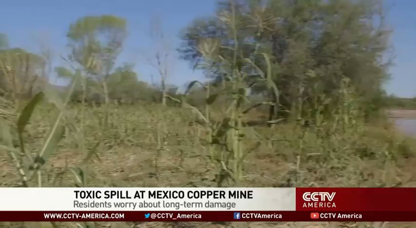 Residents fear longterm damage from Mexican mine's toxic spill